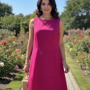 The Limited Fuchsia Midi Dress